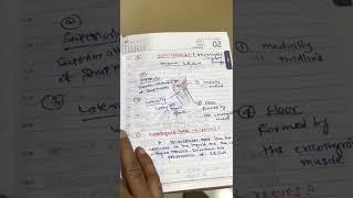 Surgical triangles in thyroidectomy ,thyroid surgery triangles