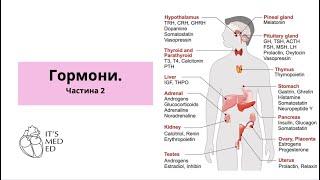 Біохімія. Гормони 2.