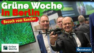 Grüne Woche 2024: Kanzler besucht Messe
