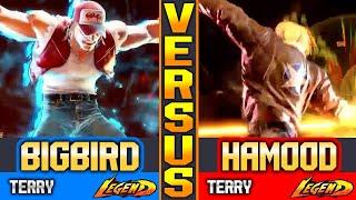 SF6 Terry Bogard (BigBird Vs Hamood) Zangief ▰ High Level