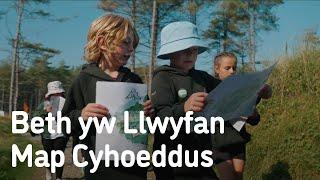 Public Map Platform Project Summary - Cymraeg