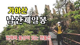 기암괴석 전시장 | 홍류동계곡 | 해인사 소리길 | 매화산