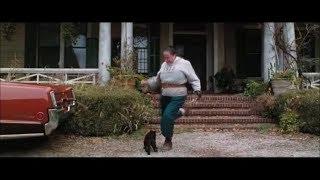 Trunchbull Vs. Cat