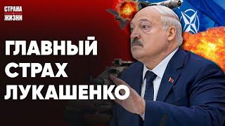 ЕВРОПА ГОТОВИТСЯ К ВОЙНЕ. Подарок кровавому режиму. Разоблачение белорусской разведки