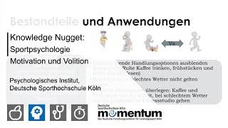 Knowledge Nugget: Sportpsychologie - Motivation und Volition