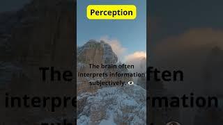 Psychology Snippets: Bite-sized Insights!
