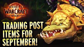 NEW! Trading Post Items For September! World of Warcraft The War Within