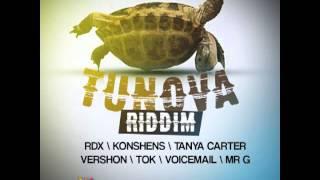 TUN OVA RIDDIM -  FEDERATION SOUND MEGA MIX - BIRCHILL MUSIC - 21ST HAPILOS DIGITAL