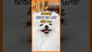 2025년 댕댕이 이름 유형 최신ver.