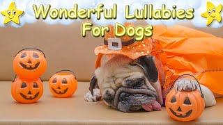 Relaxing Music For Puppies  Happy Halloween 2024  Calm Your Dog Within Minutes