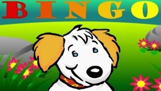 Bingo Song Sing Along | Nursery   Rhymes Kids Songs | From Baby Genius