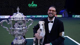 Best in Show Crufts 2025 - Winners Interview