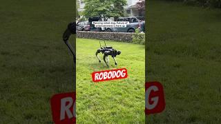 #RobotDog #DancingDog #TechVibes #RobotDance #futureishere