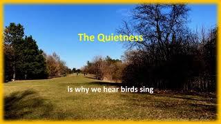 The Quietness | Channel - Creative Ideas and John