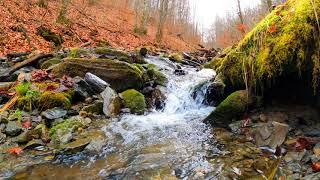 Amazing Nature Scenery Relaxing Nature Video| Tufael Ahmed Shahin .