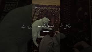 Saqib Raza Mustafai Status || Ajmal Raza Qadri Status || #short