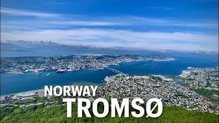 EXPERIENCE Tromsø's MAGICAL Winter Wonderland in Norway!