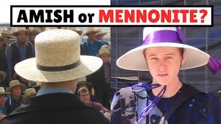 Amish vs. Mennonites: What's the difference?