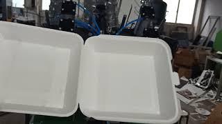 Fully Automatic Paper Lunch Box Machine /takeaway food container machine