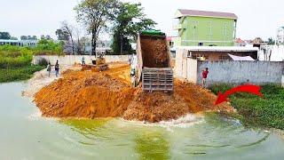 Amazing!! New Project Komatsu D31P dozer and Damp Truck, Pour soil into the Water so Amazing!