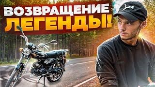 ВЕРНУЛ ЛЕГЕНДАРНУЮ АЛЬФУ! ЗАЧЕМ Я ЕЕ КУПИЛ? РОЗЫГРЫШ АЛЬФЫ! ЧТО БУДЕТ ДАЛЬШЕ?