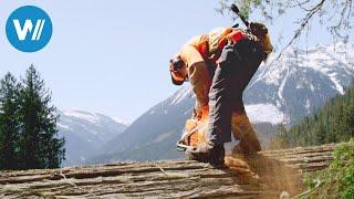 Die Holzfäller von British Columbia (360° - GEO Reportage)