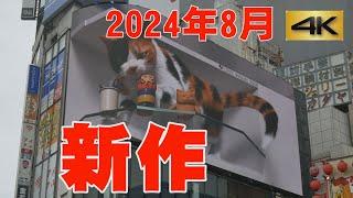 4Kネコ歩き～祝・新宿巨大猫3周年・2024年8月新作～