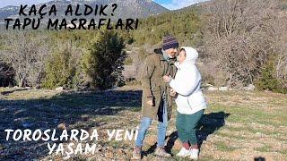 KÖY KÖY GEZİP SONUNDA ARSAMIZI ALDIK - YAYLA KÖYÜNDEN KÖY İÇİ İMARLI 1.5 DÖNÜM ARSA ALDIK - KÖYE GÖÇ