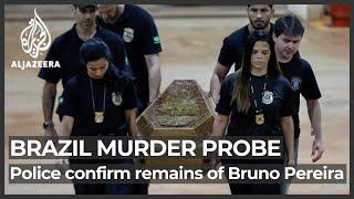 Brazil: Remains of indigenous expert Bruno Pereira identified