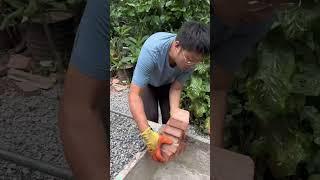 边境小院的日常：户外厨房改造与新成员到来