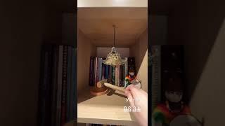 Пусть будет тепло и нежно сегодня весь день 
