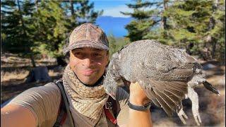 The sun & moon aligned for my 1st BLUE GROUSE!