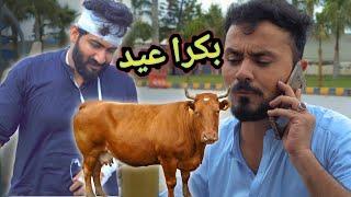 Pashto New Funny Video by KP Vynz | Bakra Eid