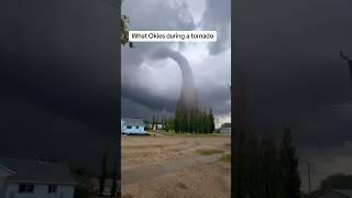 Surviving Tornadoes: The Okie Way