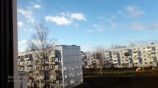 Гоша в Сша