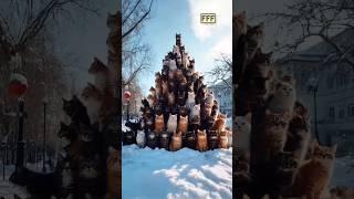 Cats and Christmas trees 2024/2025 New Video #funny #funnyvideo #funnyfurryfriends