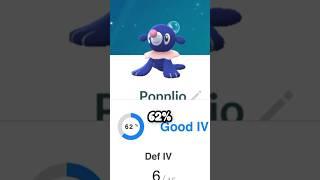 POPPLIO COMMUNITY DAY! #pokemongopvp #pokemongoraids #pokemongoevents #pokemongocommunityday