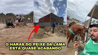 PEIXE DA LAMA MOSTRANDO SEU HARAS QUE ESTÁ ACABANDO DE FICAR PRONTO