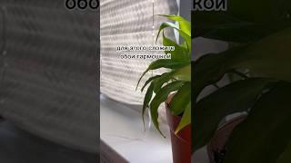 Римская шторка из остатков обоев, как вам идея?