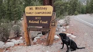 FULL Campsite Tour of Whitney Portal Campground 1-44 (Mount Whitney, California)