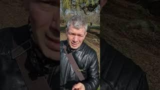 #лайфхак: как определить стоимость квартиры в Берлине?