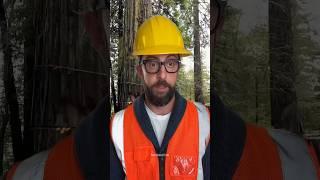 Chainsaw got stuck – here's how we solved it #cutdowntrees #satisfying #chainsaw #ice #snow