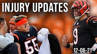 Cincinnati Bengals Injury Updates | Joe Burrow Pinky Watch, Logan Wilson, and more