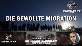 Die gewollte Agenda der Migration!