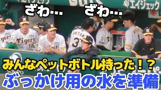 【ぶっかけ用の水を確保】熊谷パイセンどこ行った？！島田が配るわ！サヨナラチャンスに水を取り出しスタンバイする阪神ベンチ2024.9.14