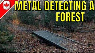 Metal Detecting A Forest With A Garrett AT Pro