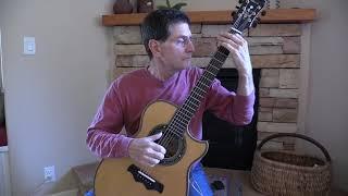 Bozo Podunavac East Indian Rosewood Demo - by Larry Pattis