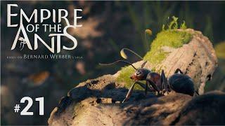 Empire Of The Ants PS5 - Part 21: Battle Of The Pinecones