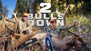 2 Bulls Down! Wyoming - Star Valley Outfitters & MOA Rifles