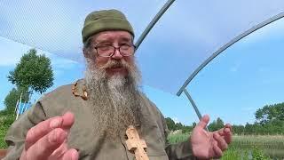Доноры Света   возможно это вы!
